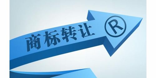 商務服務企業商情 商務代理與代辦服務的市場機遇與發展策略